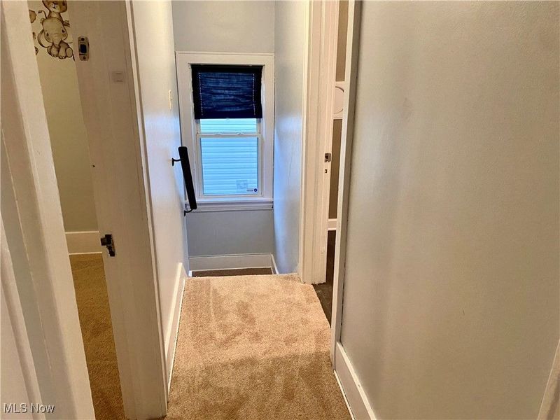 1212 Tulip Street, Akron, OH 44301 Photo 25