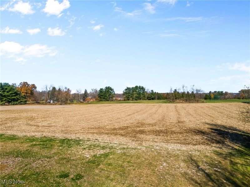 13591 Louisville Street NE, Paris, OH 44669 Photo 32