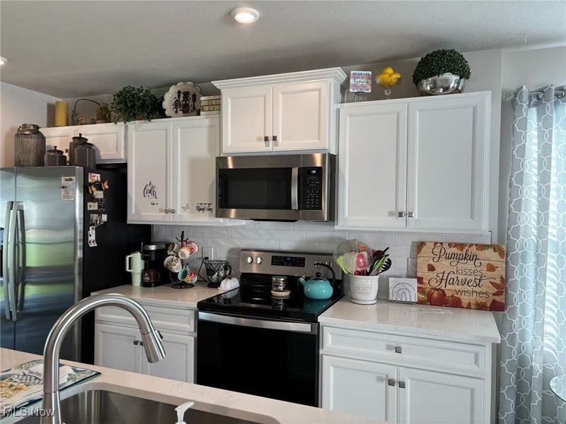 310 Ridgewater Drive, Elyria, OH 44035 Photo 8