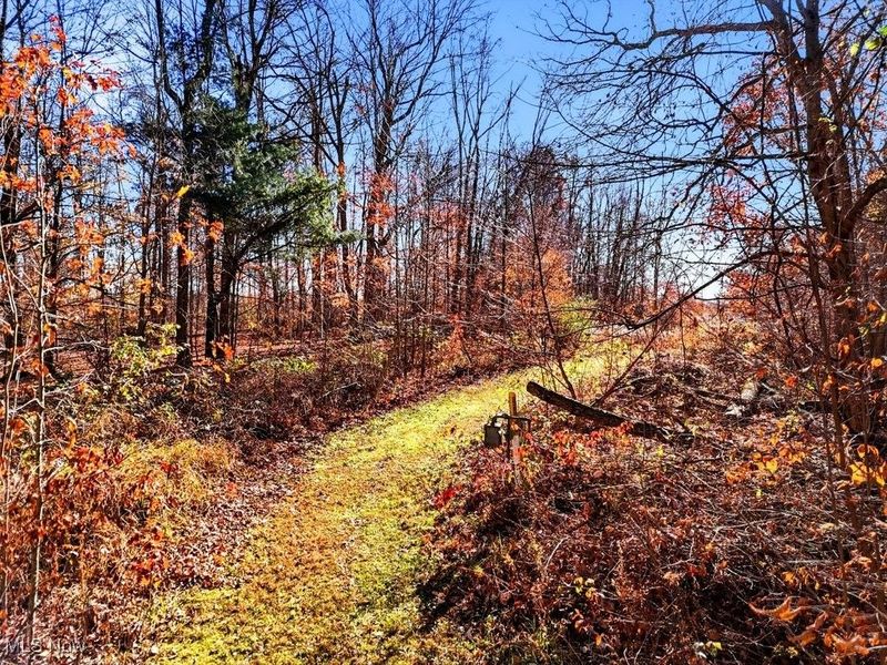 831 Township Road 462, Nova, OH 44859 Photo 10