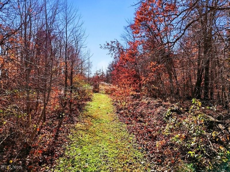 831 Township Road 462, Nova, OH 44859 Photo 11