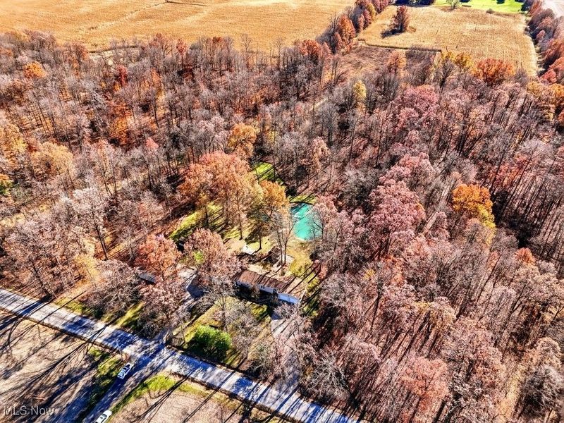 831 Township Road 462, Nova, OH 44859 Photo 48