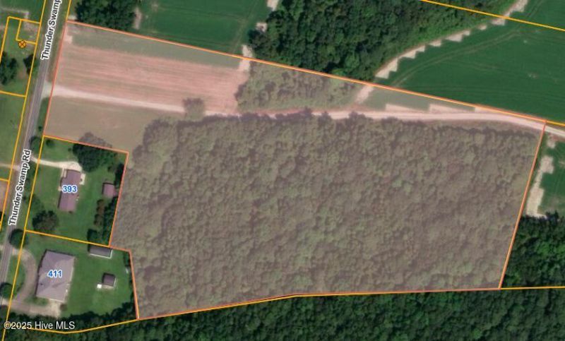 Parcel 3 Thunder Swamp Road, Mount Olive, NC 28365 Main Photo
