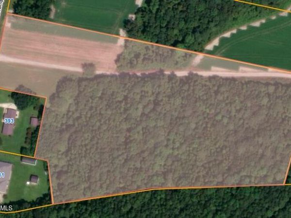 Parcel 3 Thunder Swamp Road, Mount Olive, NC 28365