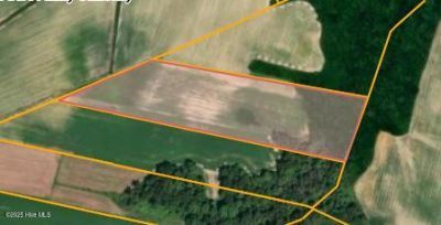 Parcel 4 Thunder Swamp Road, Mount Olive, NC 28365 Main Photo