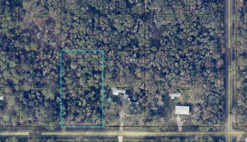 4730 Calvin St, Hastings, FL 32145 Main Photo