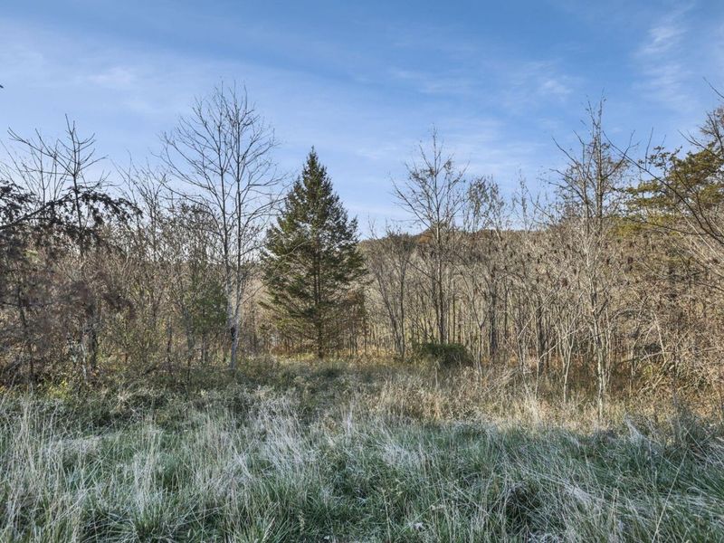 63993 Woodgeard Road, Creola, OH 45622 Photo 27