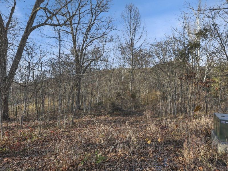 63993 Woodgeard Road, Creola, OH 45622 Photo 29