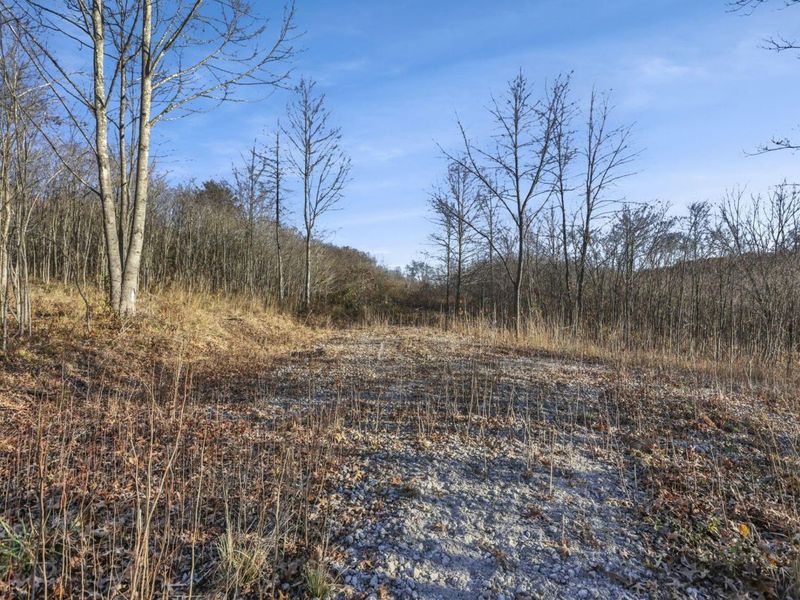 63993 Woodgeard Road, Creola, OH 45622 Photo 30