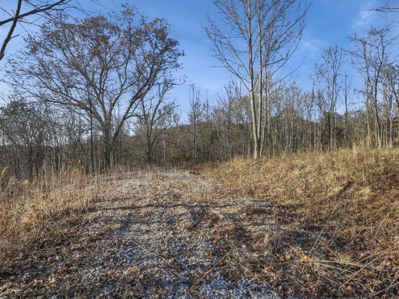 63993 Woodgeard Road, Creola, OH 45622 Photo 31