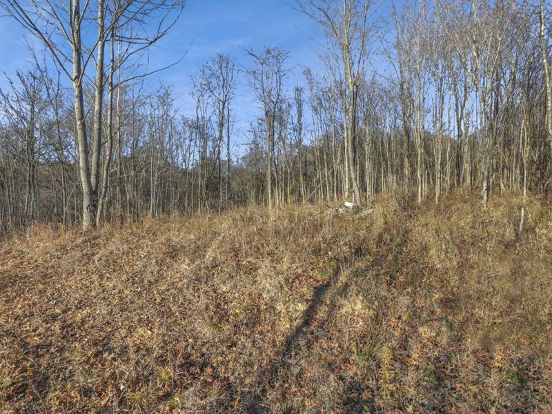 63993 Woodgeard Road, Creola, OH 45622 Photo 32