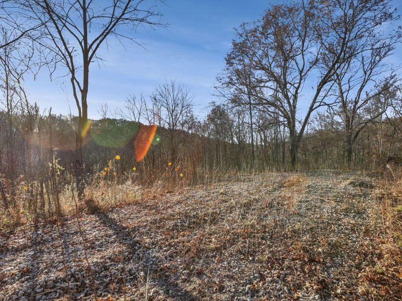 63993 Woodgeard Road, Creola, OH 45622 Photo 33