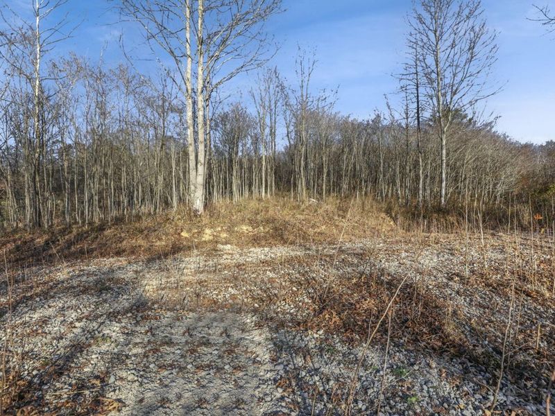 63993 Woodgeard Road, Creola, OH 45622 Photo 34