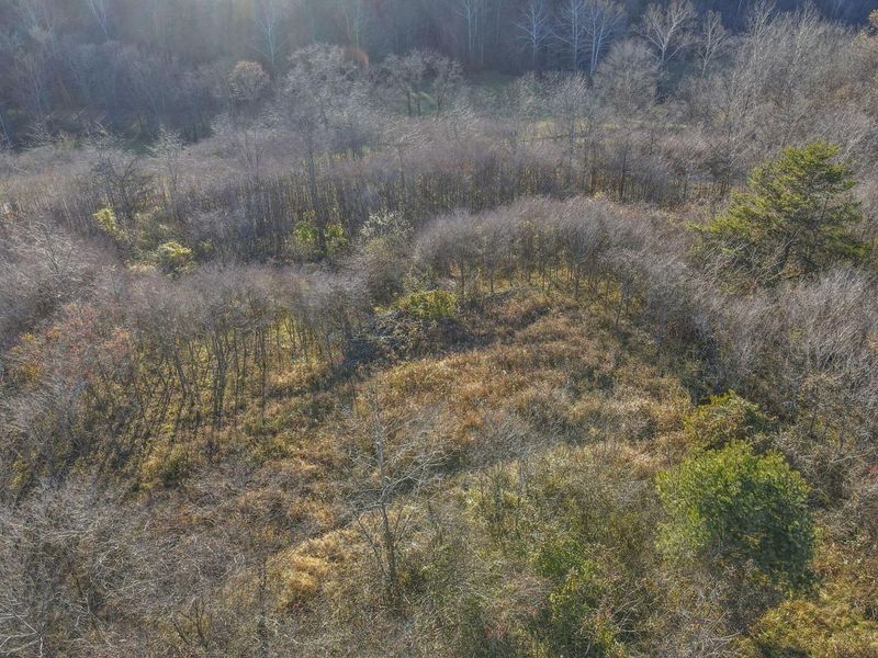 63993 Woodgeard Road, Creola, OH 45622 Photo 46