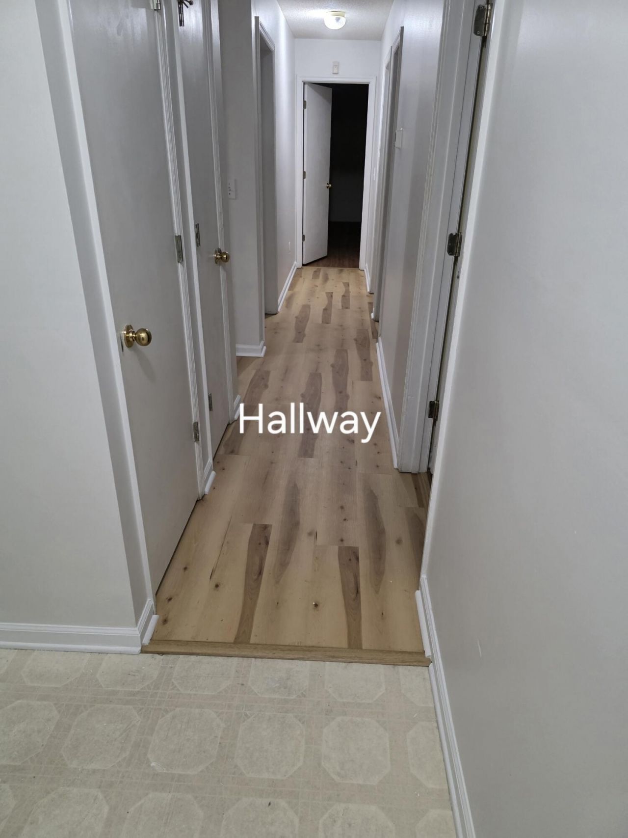 120 Two Pond Loop Photo 4