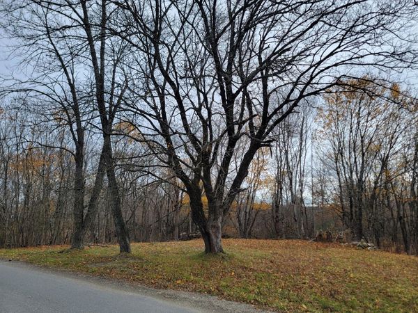 362 Main Street, Baileyville, ME 04694