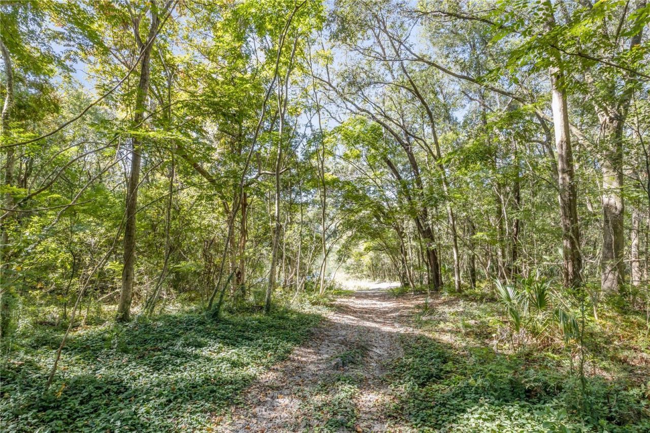 1624 Greens Dairy Road, Deland, FL 32720 Photo