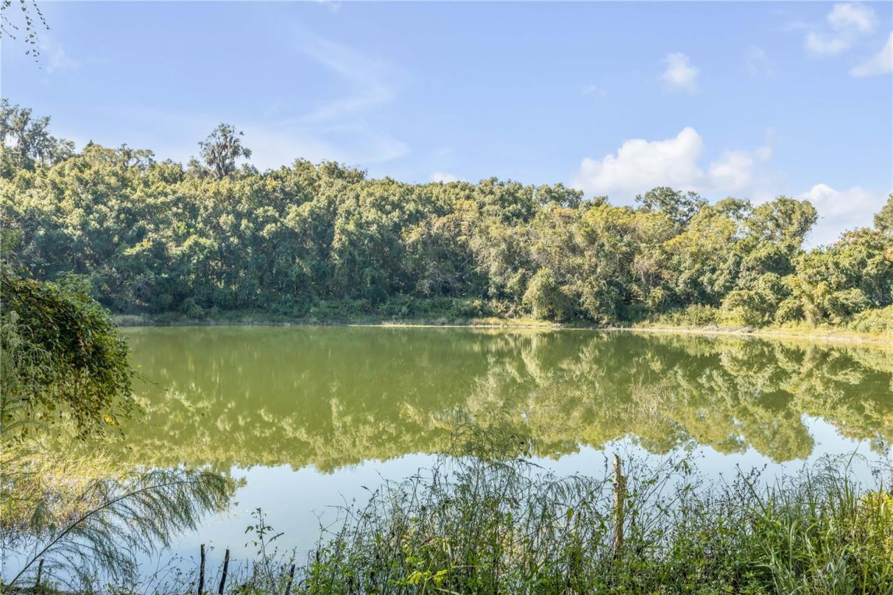 1624 Greens Dairy Road, Deland, FL 32720 Photo