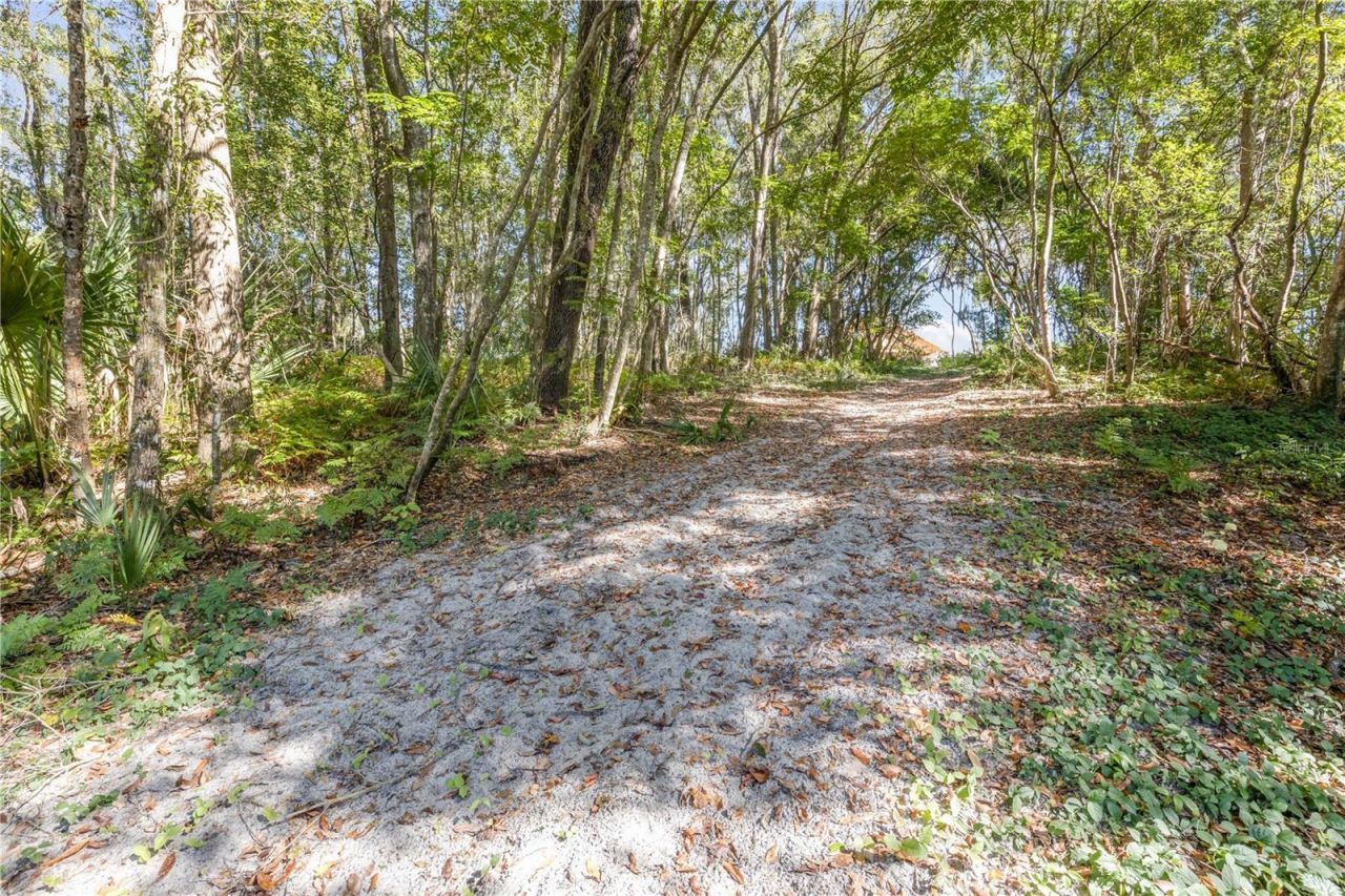 1624 Greens Dairy Road, Deland, FL 32720 Photo