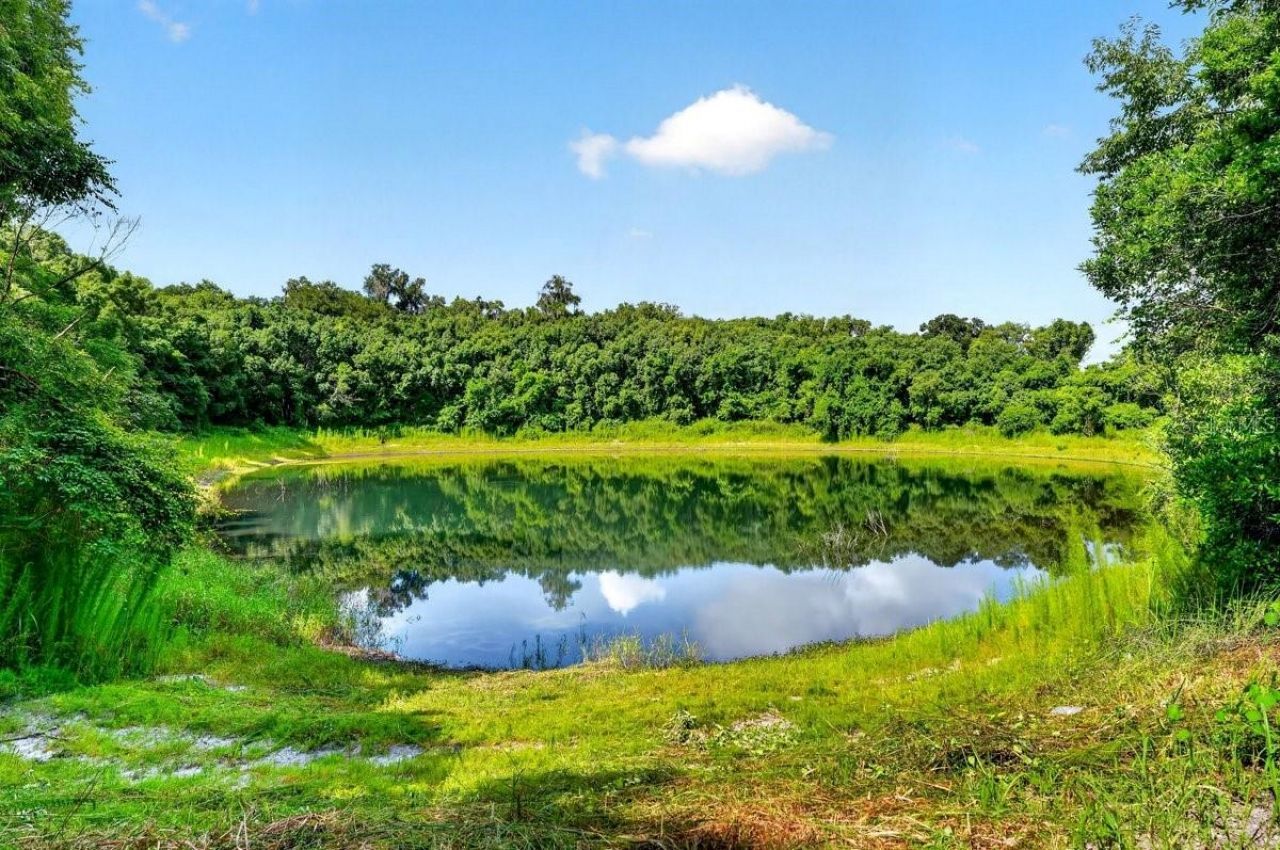 1624 Greens Dairy Road, Deland, FL 32720 Photo