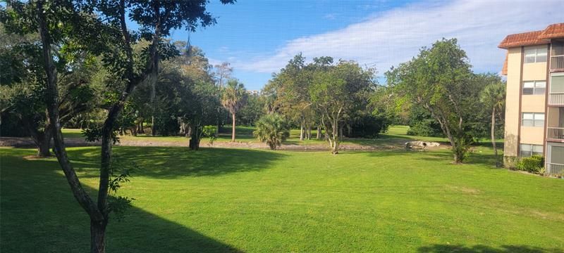 6260 S Falls Circle Drive, Unit 206, Lauderhill, FL 33319 Photo