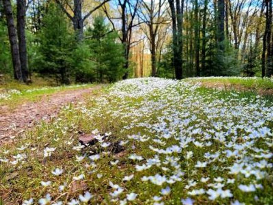 614 Graystones Jeras Rd Lot R-15, Albrightsville, PA 18210 Main Photo