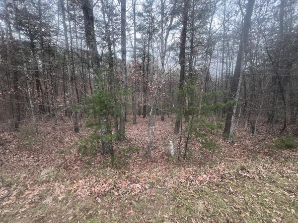 2851 Lindsay DR, Elliston, VA 24087