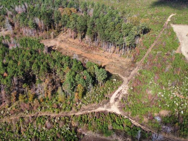 1 Truitt Rd, Pickens, MS 39146