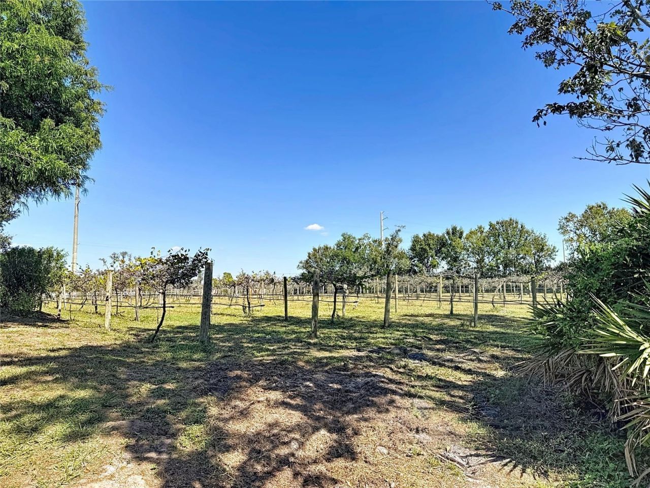 19600 E State Road 64, Bradenton, FL 34212 Photo