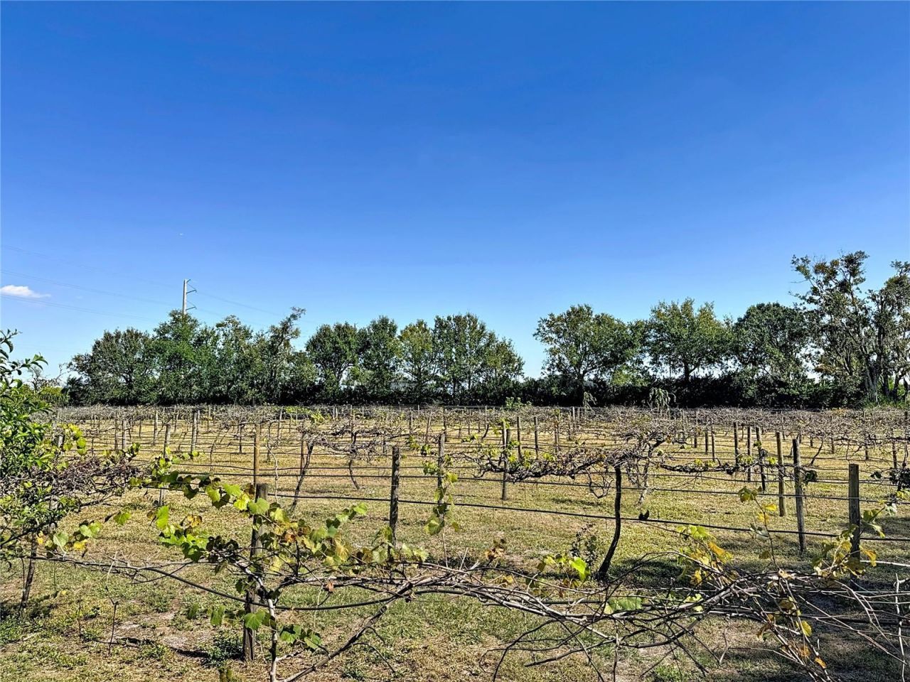 19600 E State Road 64, Bradenton, FL 34212 Photo