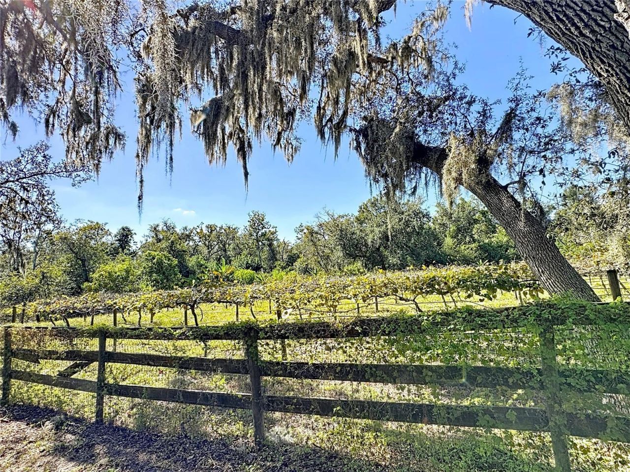 19600 E State Road 64, Bradenton, FL 34212 Photo