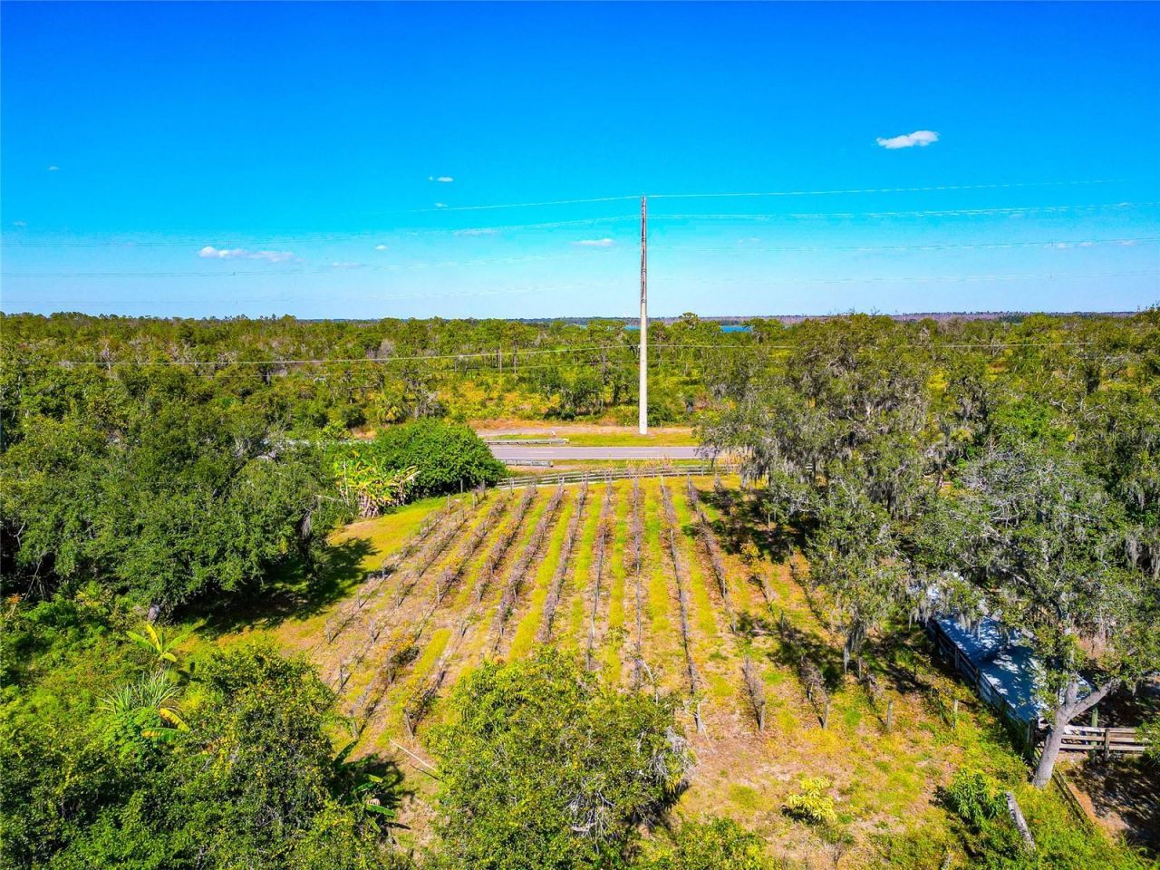 19600 E State Road 64, Bradenton, FL 34212 Photo