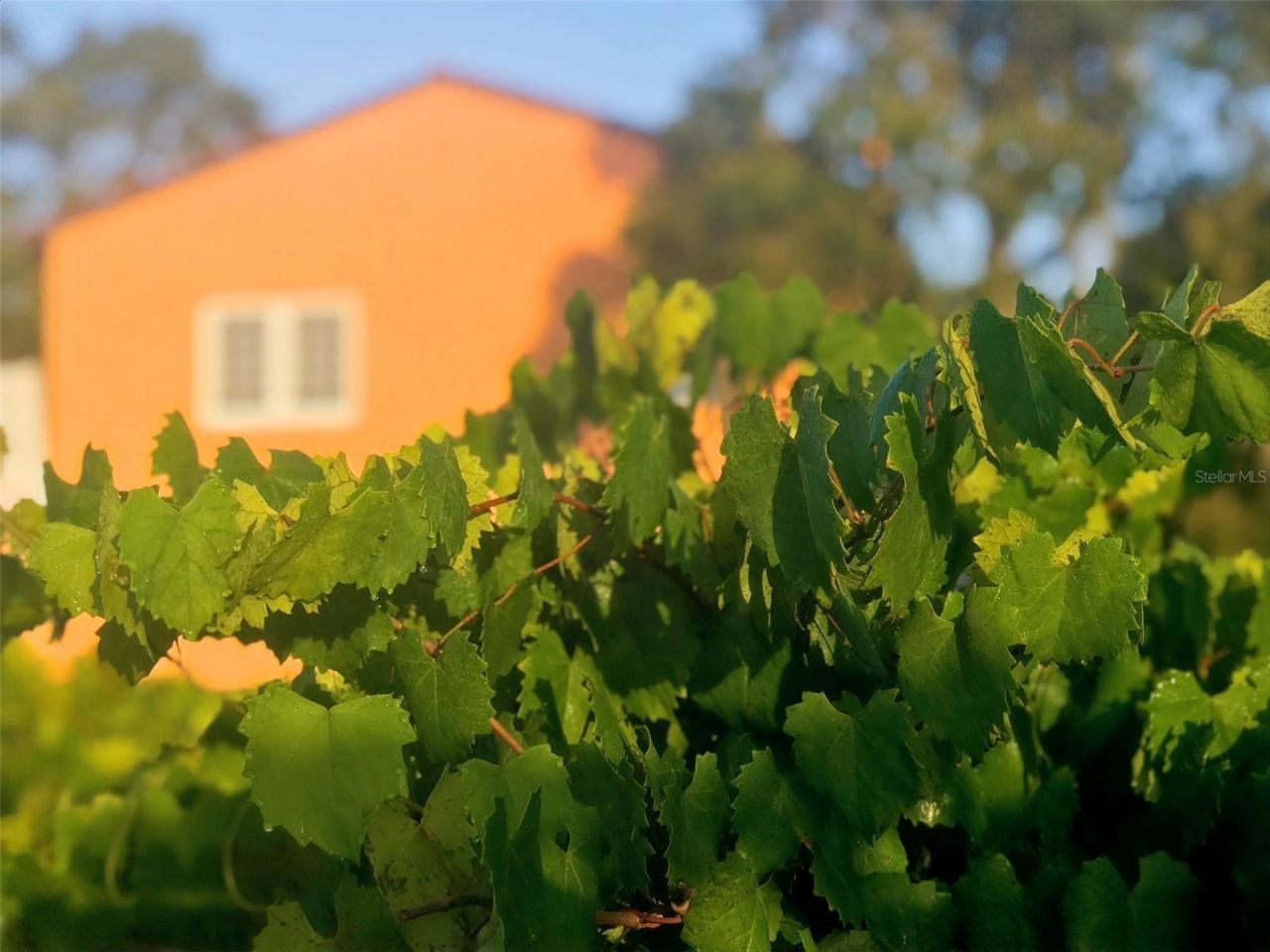 19600 E State Road 64, Bradenton, FL 34212 Photo