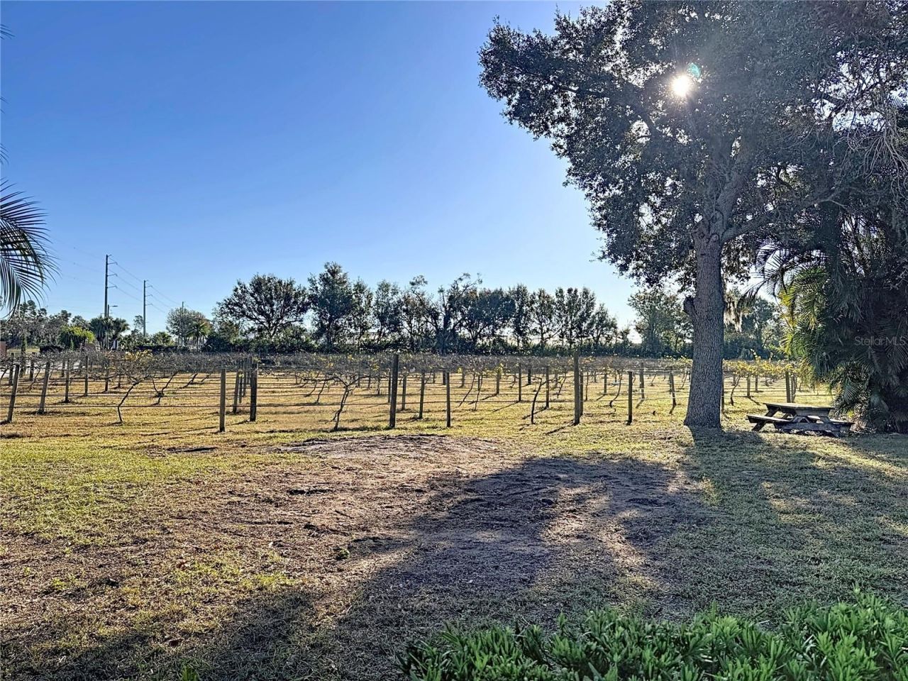 19600 E State Road 64, Bradenton, FL 34212 Photo