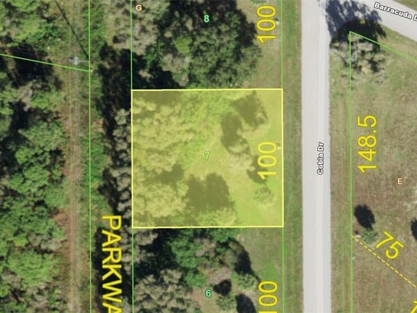 70 COBIA DRIVE, PLACIDA, FL 33946