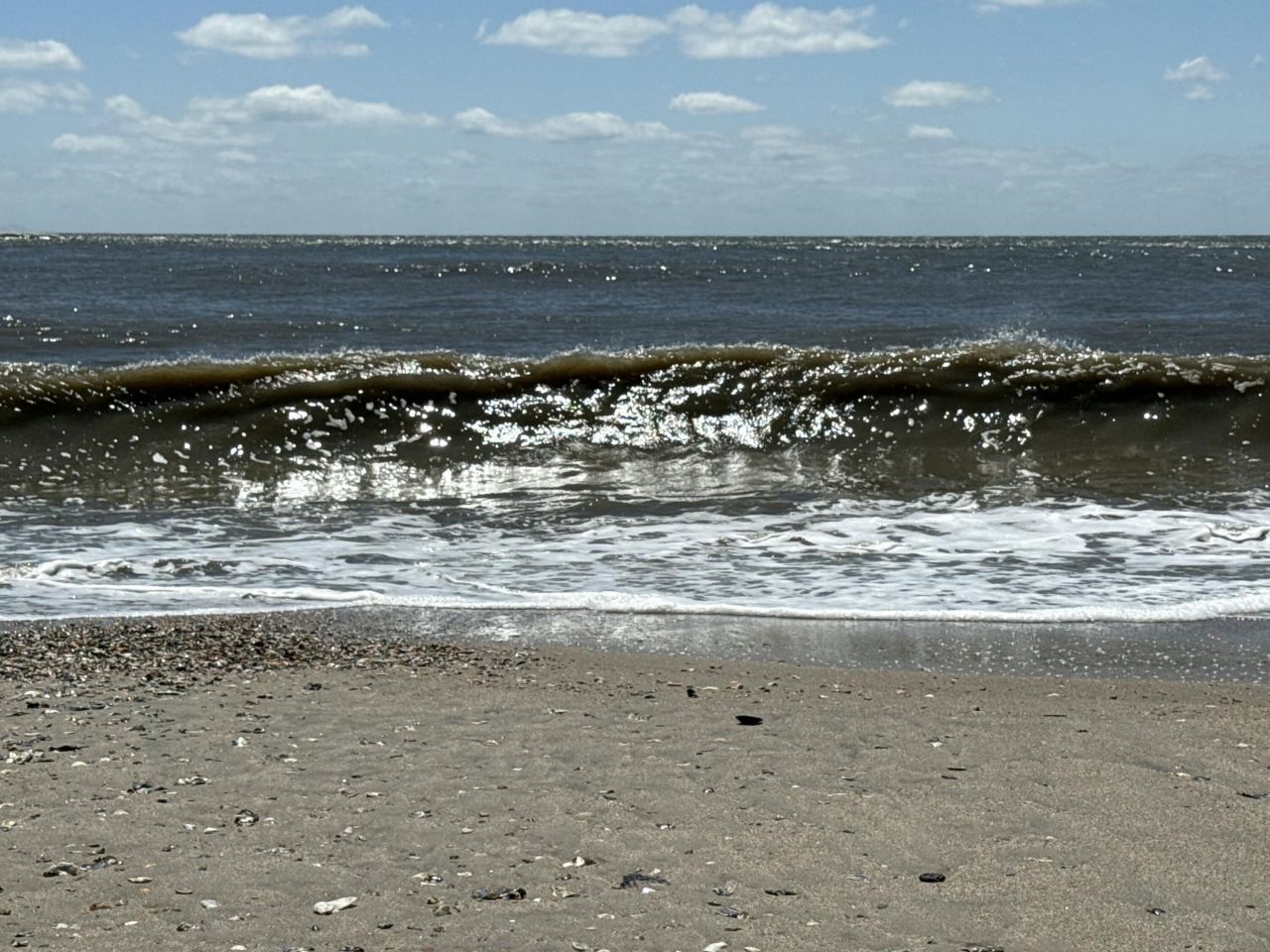 3113 Palmetto Boulevard Photo 13