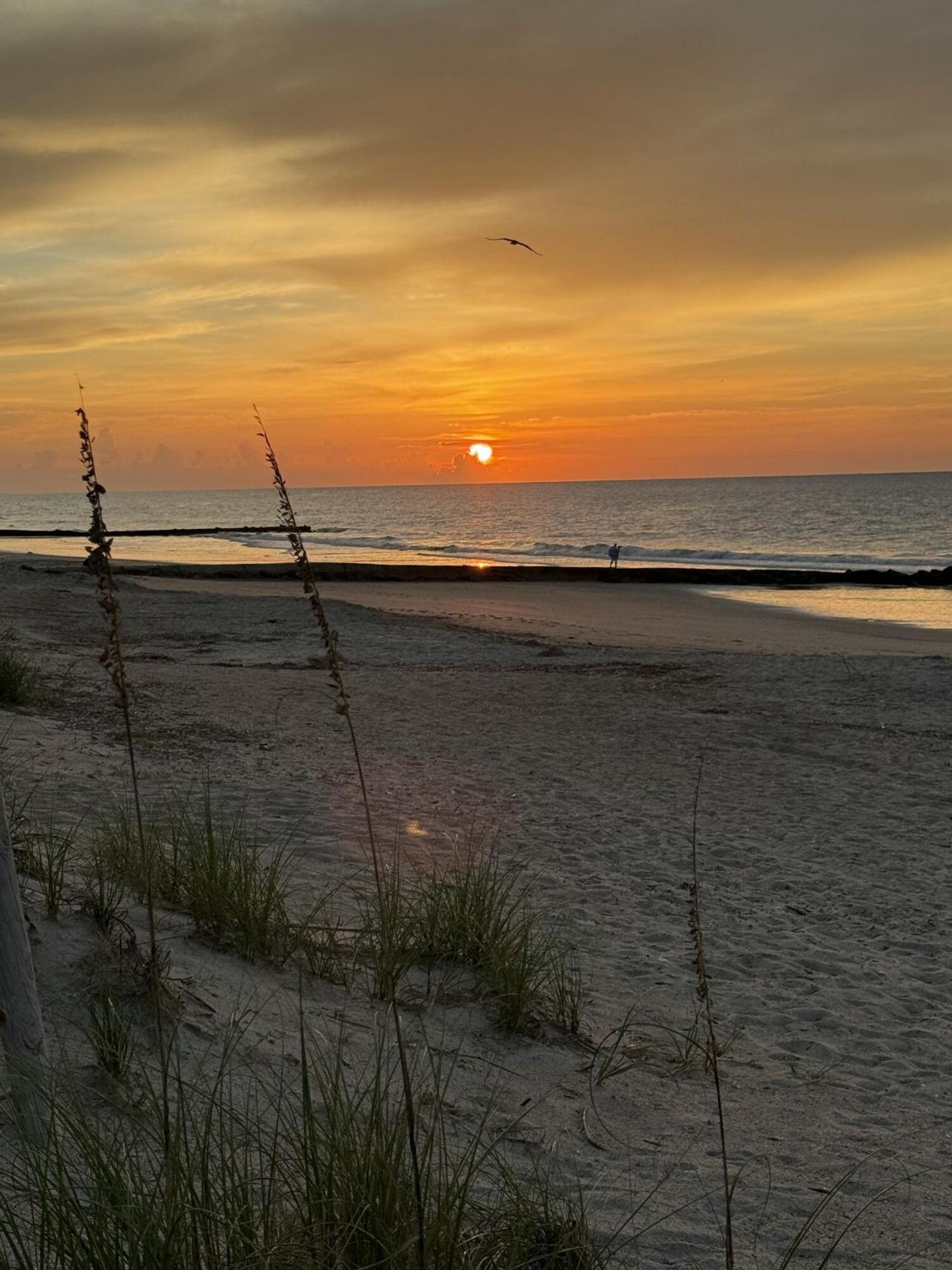 3113 Palmetto Boulevard Photo 14