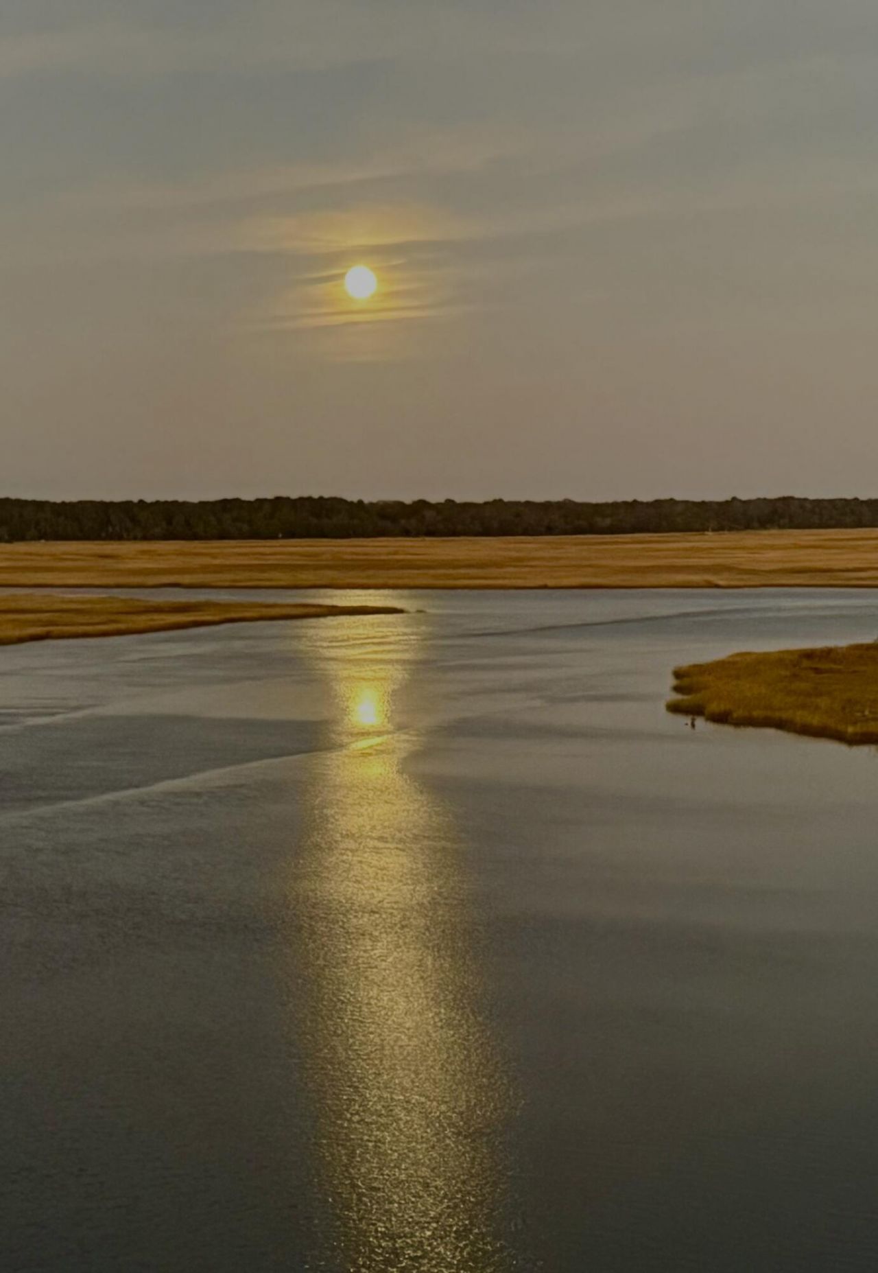 3113 Palmetto Boulevard Photo 15