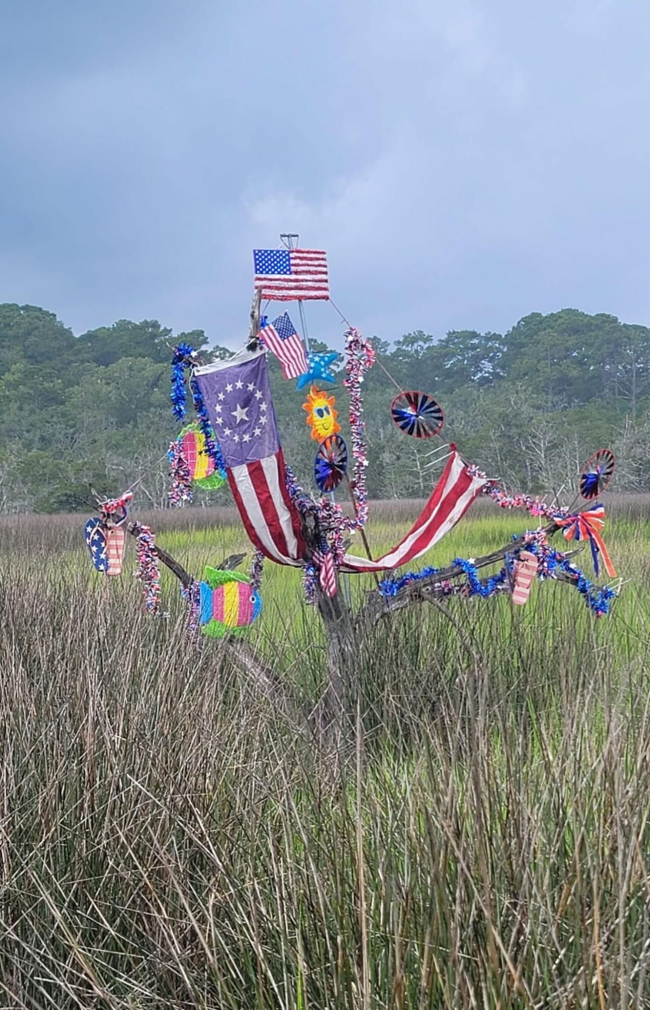 3113 Palmetto Boulevard Photo 16