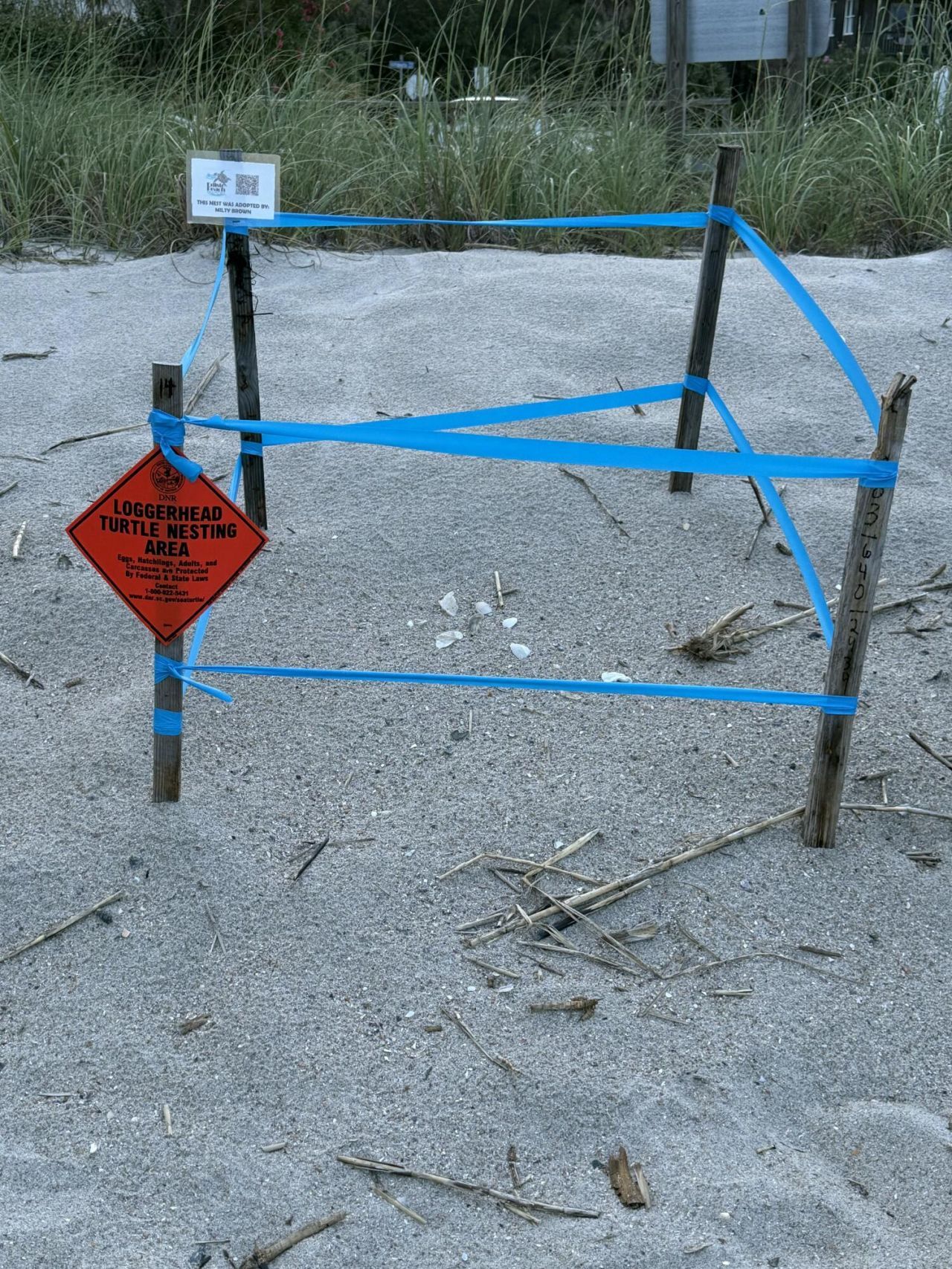 3113 Palmetto Boulevard Photo 18