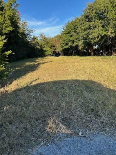 3113 Palmetto Boulevard Photo 5