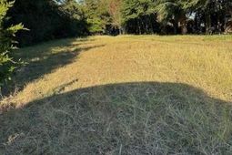 3113 Palmetto Boulevard photo 4