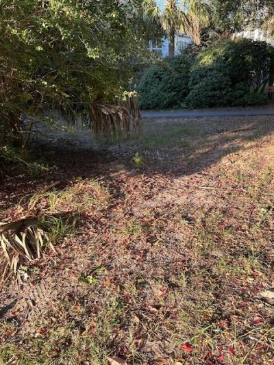 3113 Palmetto Boulevard Photo 8