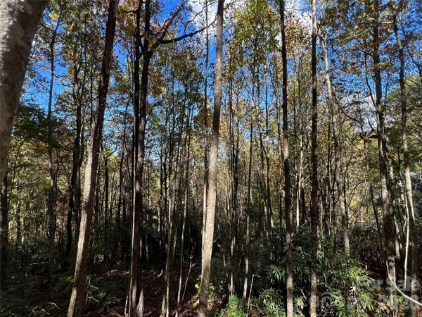 0 Wild Magnolia Way, Zirconia, NC 28790
