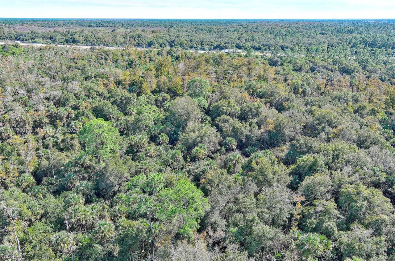 0 Alligator Alley, Naples, FL 34117 Photo