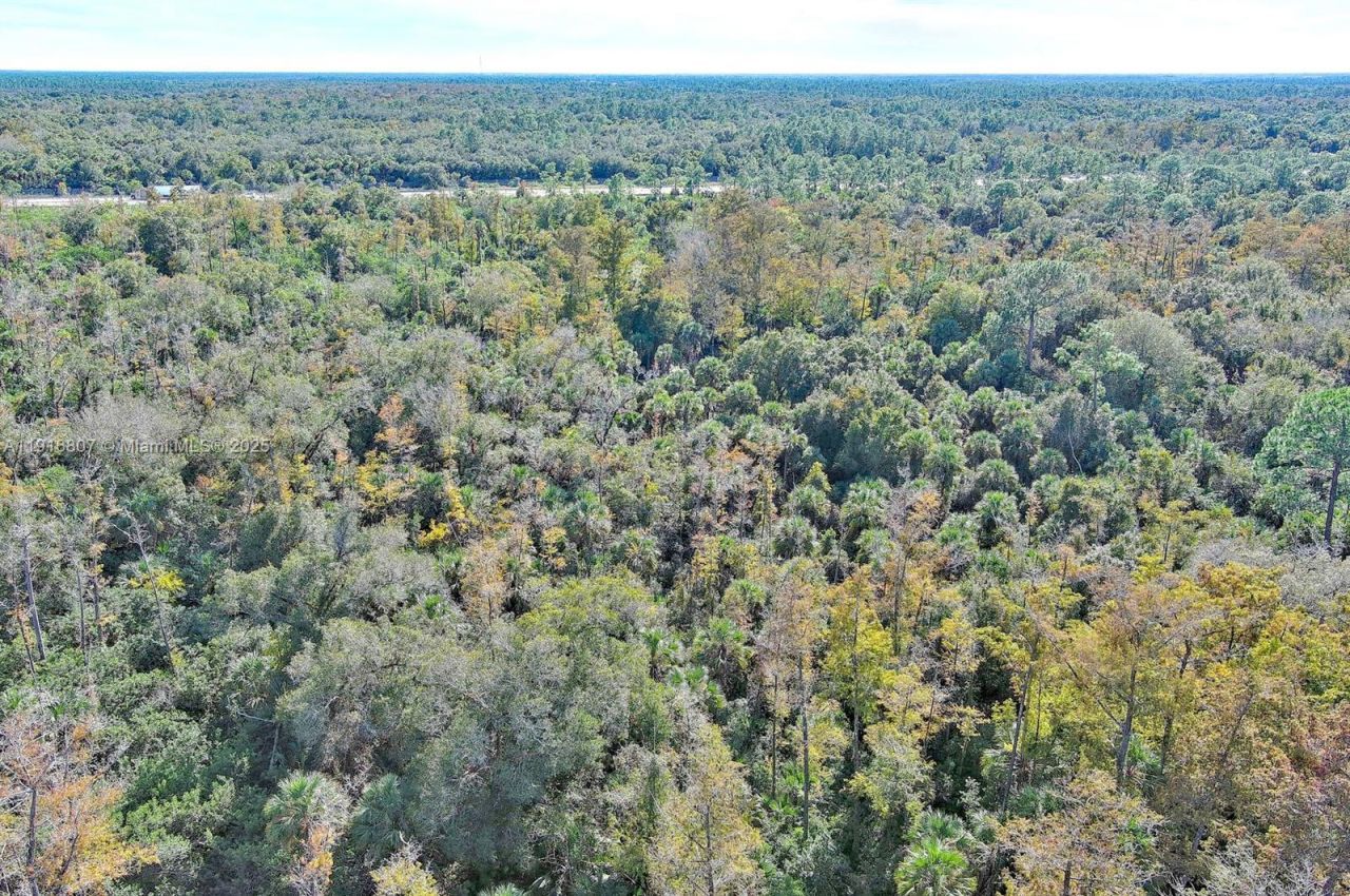 0 Alligator Alley, Naples, FL 34117 Photo