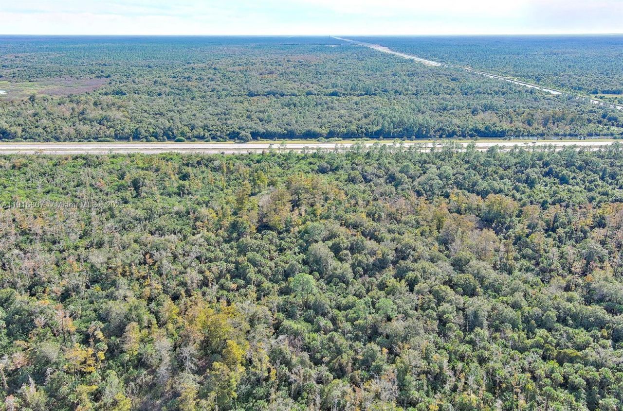 0 Alligator Alley, Naples, FL 34117 Photo