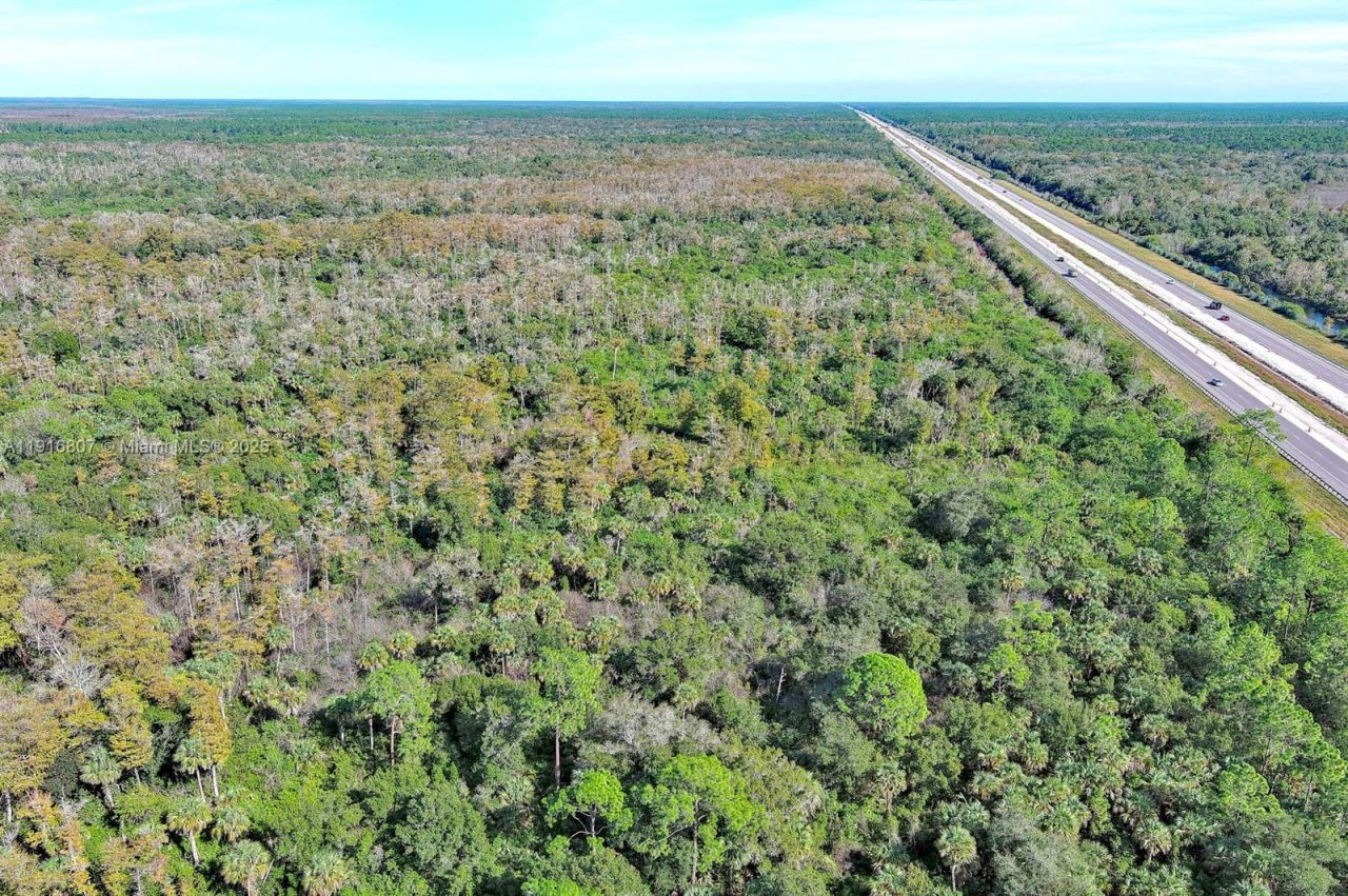 0 Alligator Alley, Naples, FL 34117 Photo