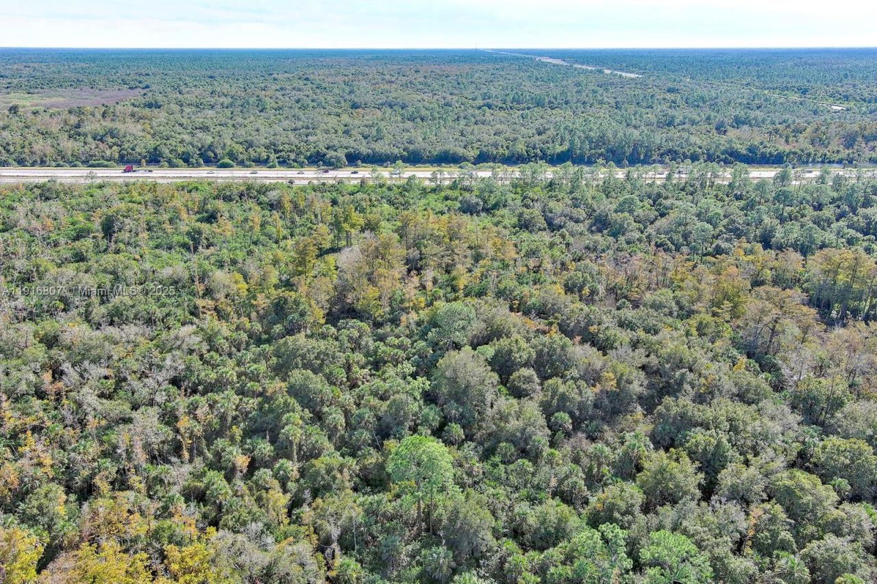0 Alligator Alley, Naples, FL 34117 Photo