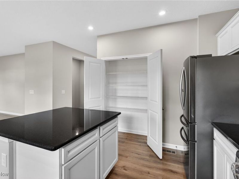 23663 Victory Lane, Columbia Station, OH 44028 Photo 11